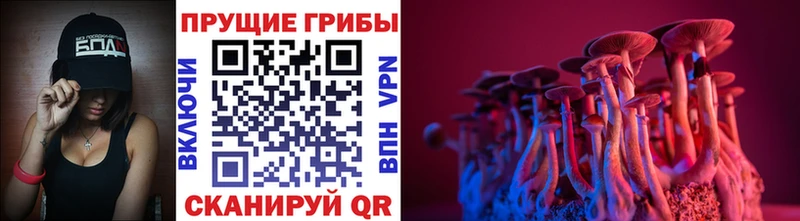 как найти закладки Тюмень кракен tor Галлюциногенные грибы прущие грибы