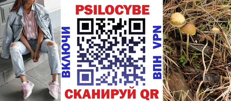 Псилоцибиновые грибы Psilocybe Тюмень